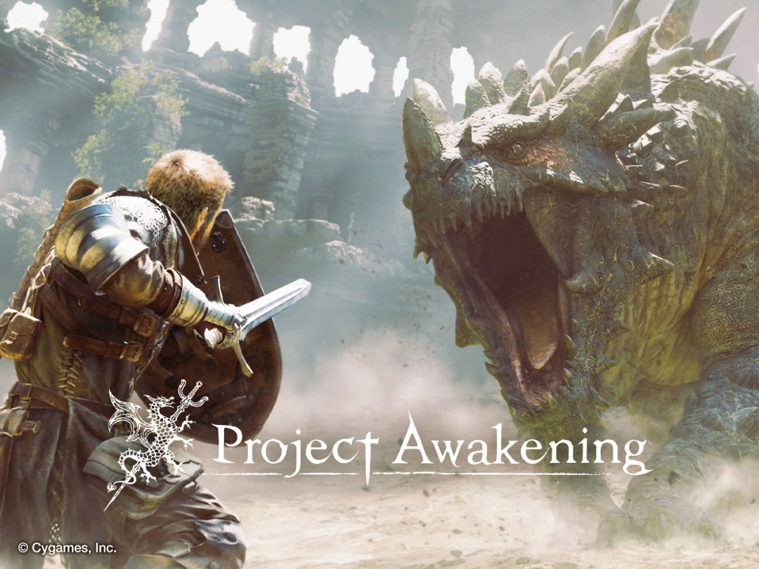 株式会社 Cygames 画像3